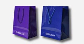 Paper Gift Bags in Plain Color