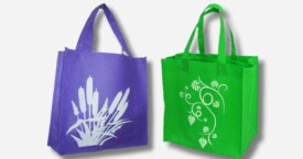 Non Woven Bag Plain + Logo