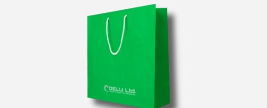 Paper Bag – Plain Green ; mat finish