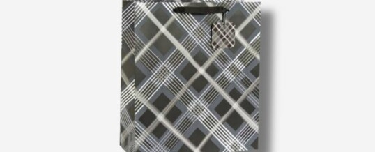 Paper Bag – Diagonal Stripes