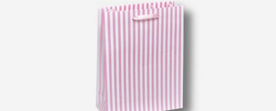 Paper Bag – Bold Stripes Pink