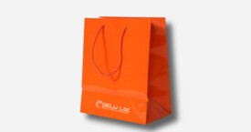 Bolsa de papel en color único más logotipo – Brillante naranja