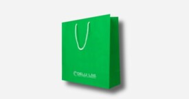 Bolsa de papel en color único más logotipo – Mate verde
